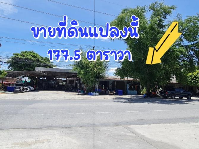 ขายที่ดินหนองมนติดถนน2ด้าน