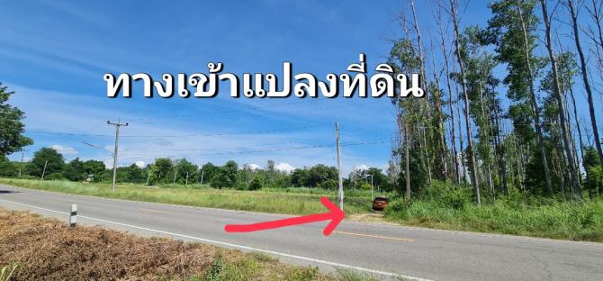 ที่ดินหนองเหียงพนัสนิคม 12ไร่1งาน51ตร.ว.