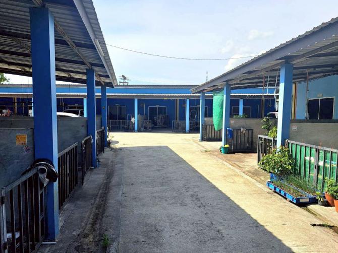 หอพักพร้อมผู้เช่าใกล้นิคมอมตะซิตี้ชลบุรี