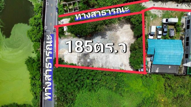 ที่ดินเมืองชลบุรีใกล้สุขุมวิท