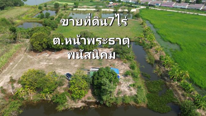 ขายที่ดินเมืองพนัสนิคม