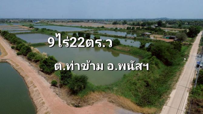 ที่ดินพนัสนิคม9ไร่22ตรว.