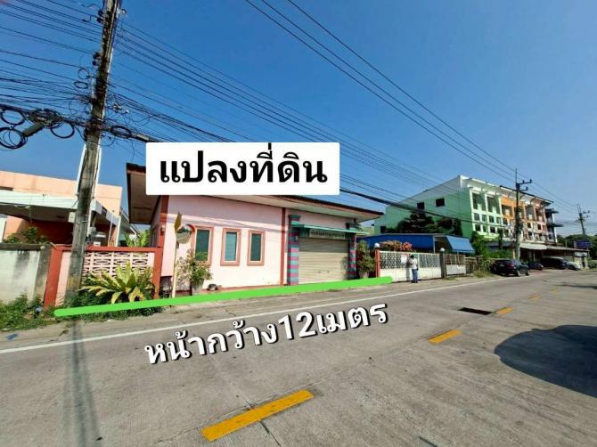 ที่ดินใกล้บางแสน ถ.เปรมใจราษฎร์181ตร.ว